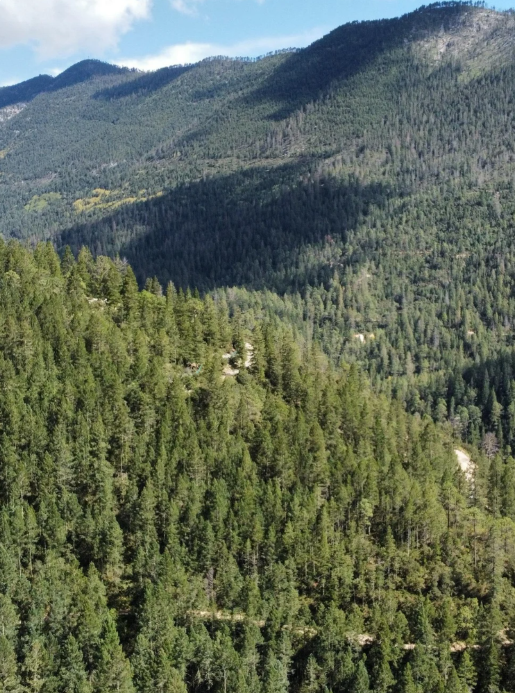 Rentkit Directory & Listing Bootstrap 5 Theme